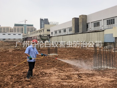 海珠基础预防白蚁