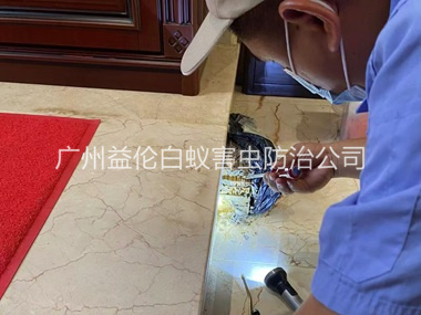 从化安装诱杀箱监测白蚁工程